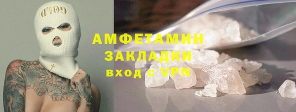 прущие грибы Заволжск