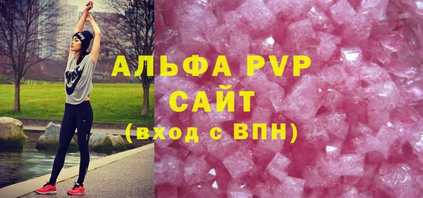прущие грибы Заволжск