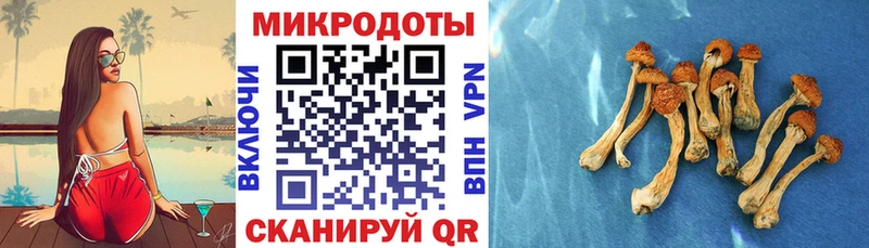 ОМГ ОМГ зеркало  закладки  Красавино  Галлюциногенные грибы Magic Shrooms 